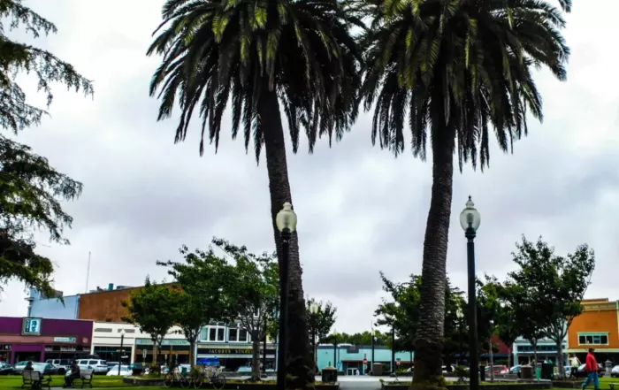 arcata downtown