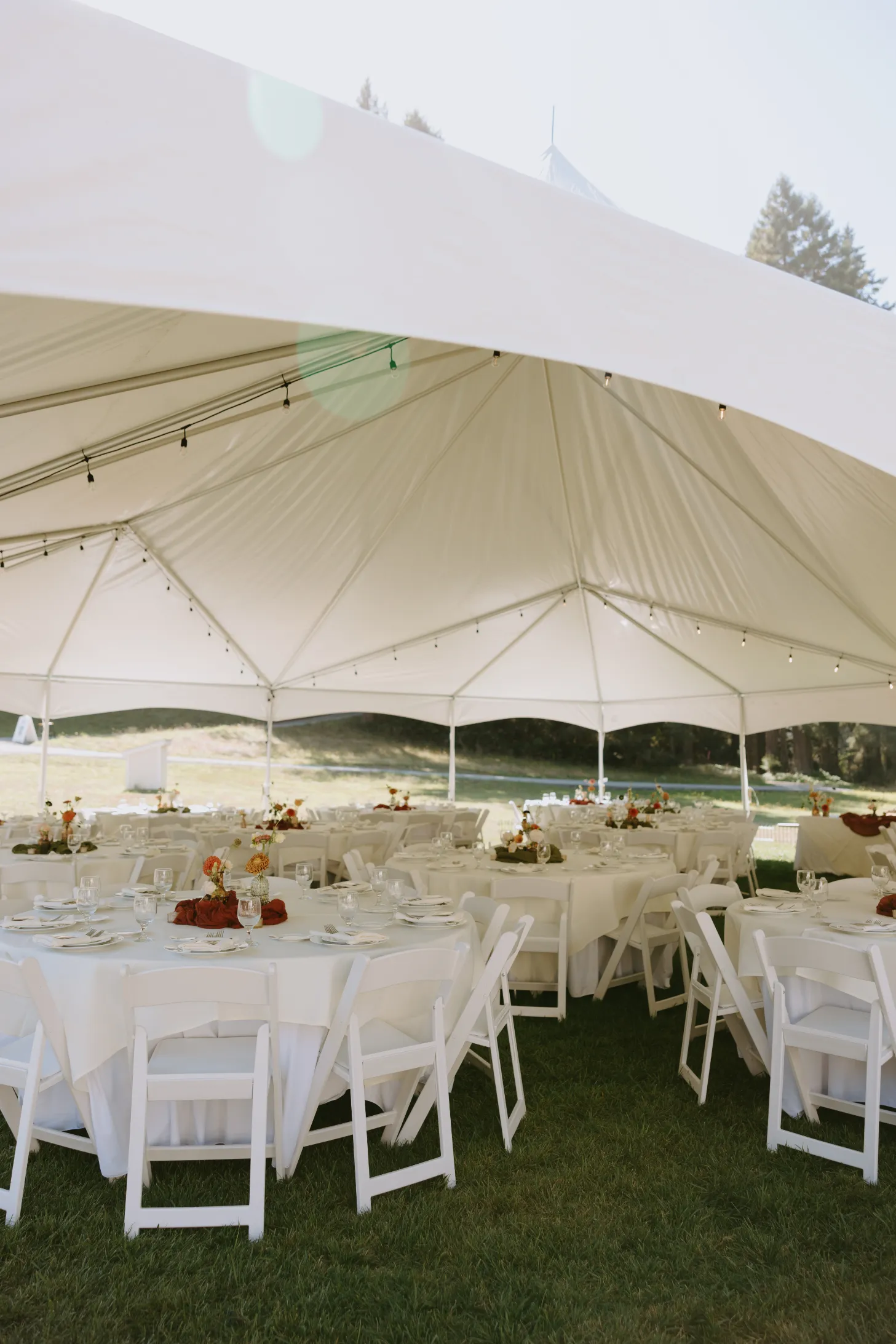 a peek under the lawn tent