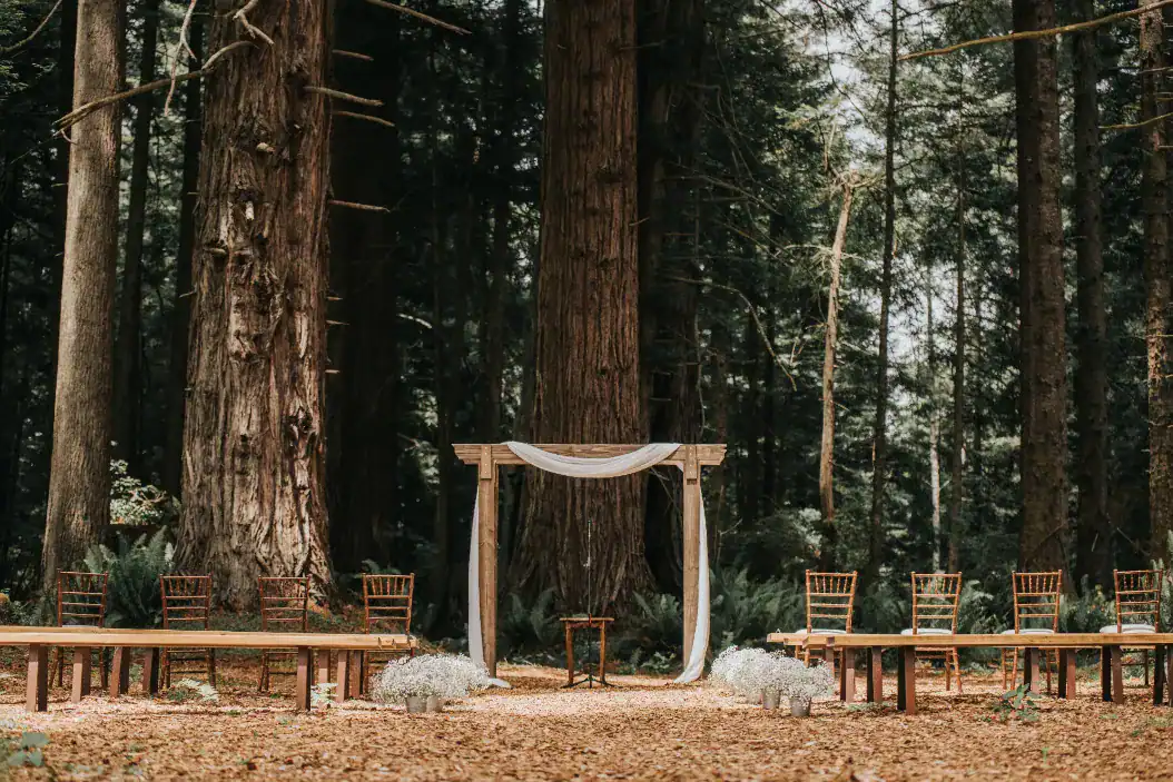 minimalist ceremony grove florals
