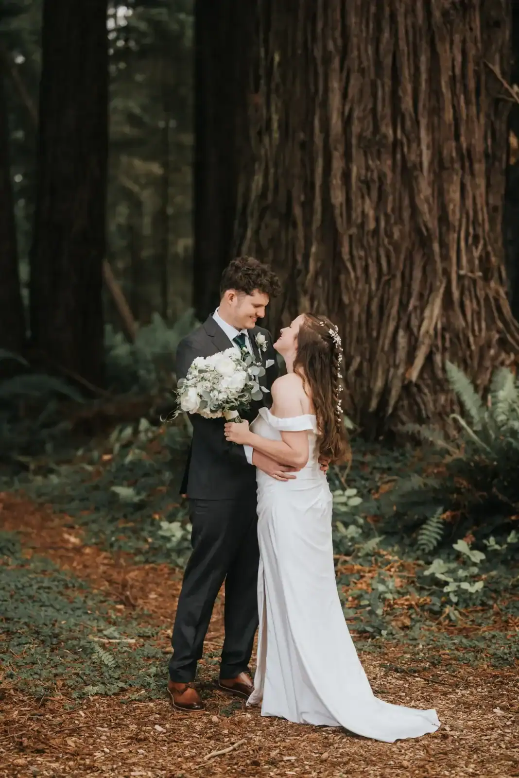 the franzen’s in the forest the franzen's in the forest