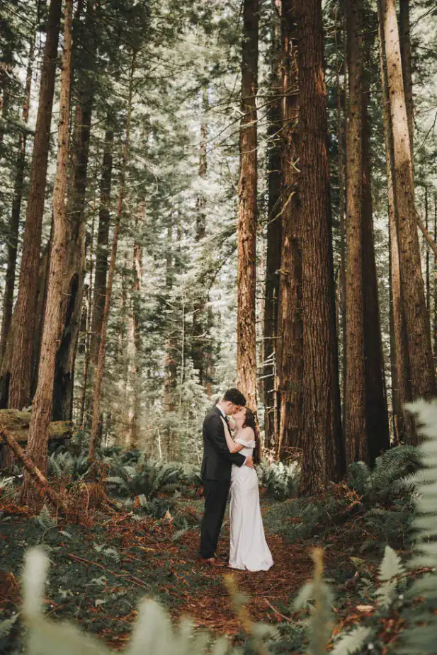 the franzen's in the forest