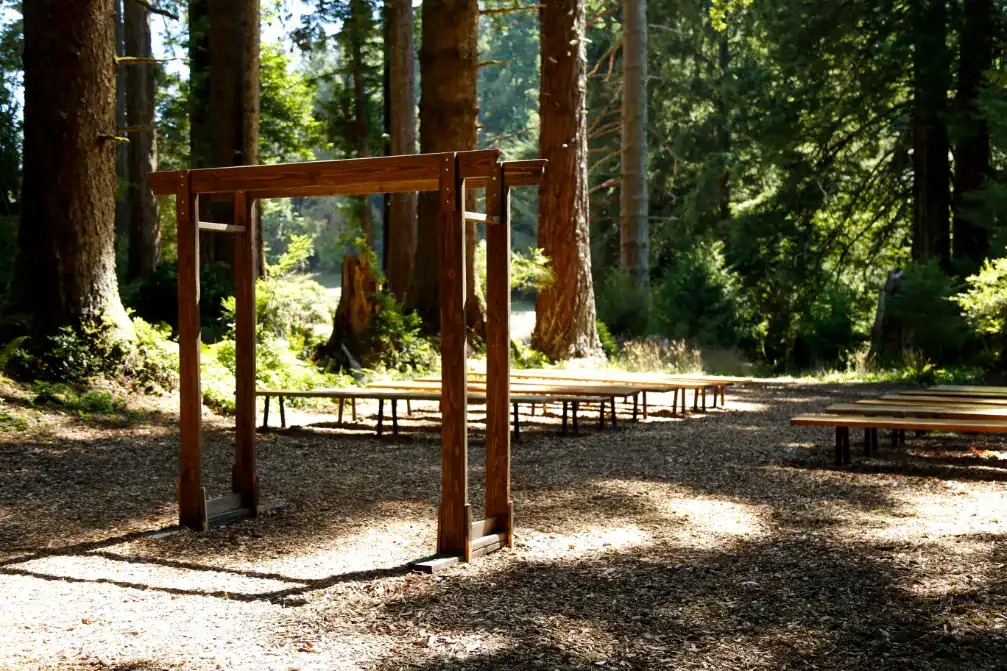 wild iris suite photos by delaney mayo wild iris suite photos by delaney mayo