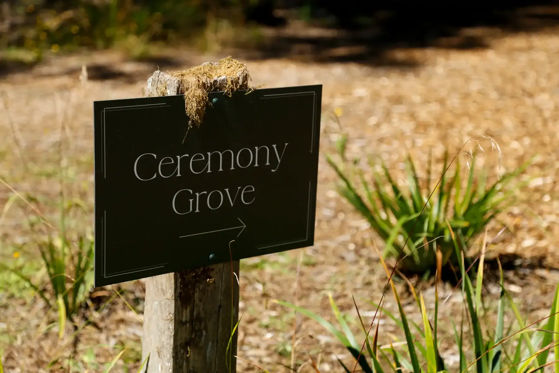 wild iris suite photos by delaney mayo wild iris suite photos by delaney mayo