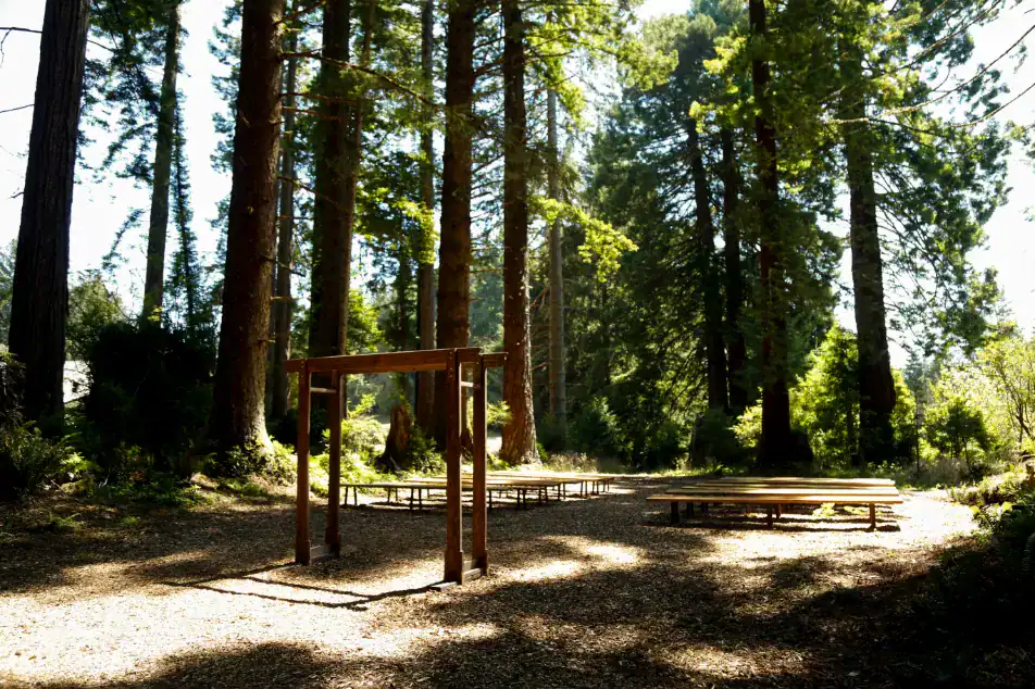 wild iris suite photos by delaney mayo wild iris suite photos by delaney mayo