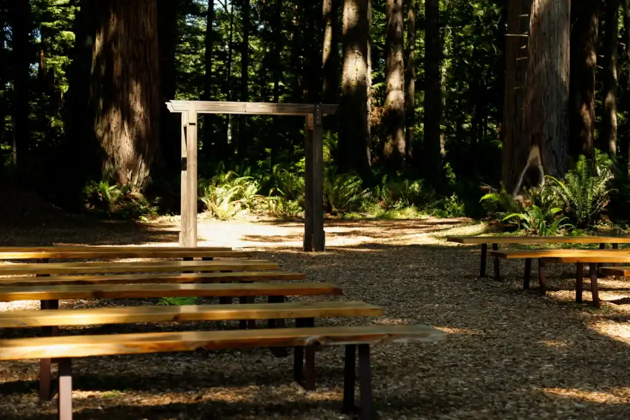 wild iris suite photos by delaney mayo wild iris suite photos by delaney mayo