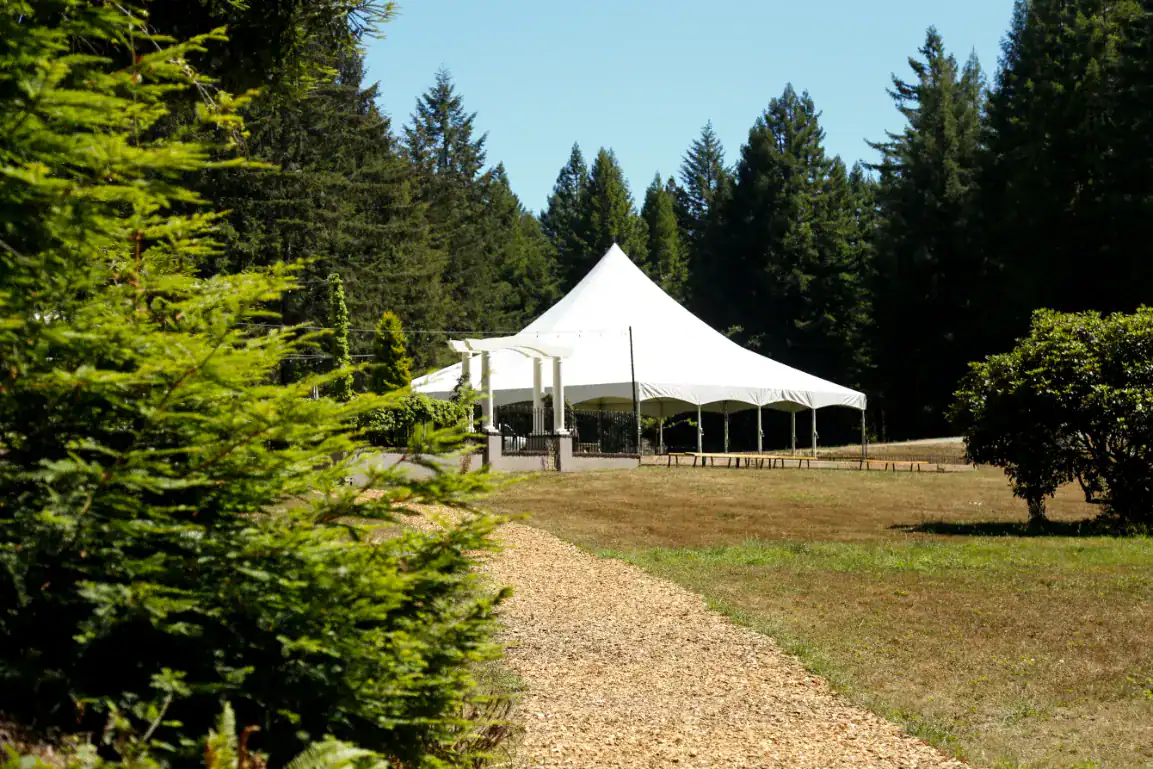 wild iris suite photos by delaney mayo wild iris suite photos by delaney mayo