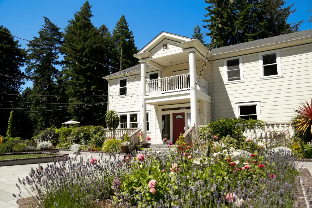 wild iris suite photos by delaney mayo wild iris suite photos by delaney mayo